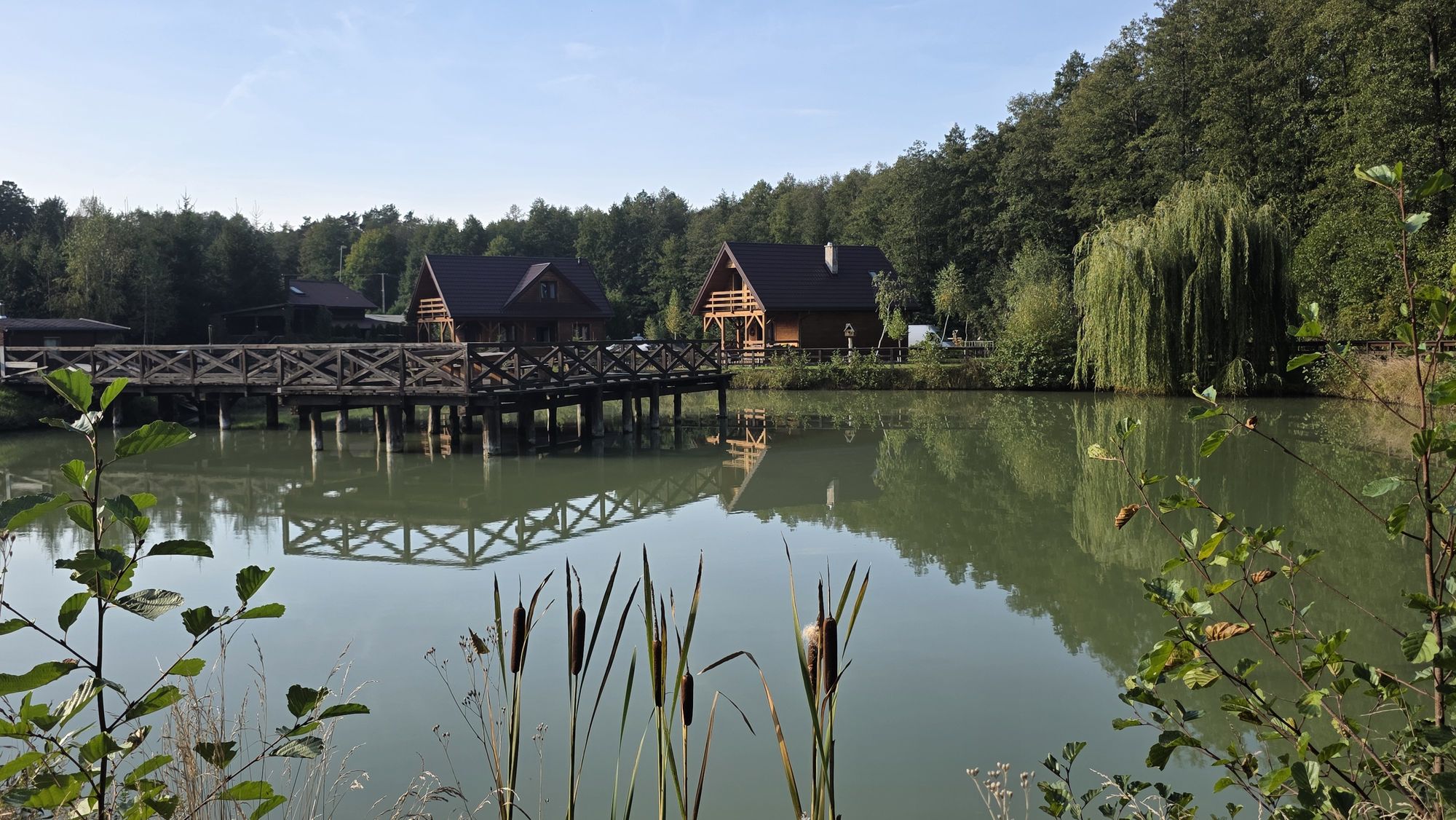 Staw z pomostem w Ostoi Trzyrzeczki